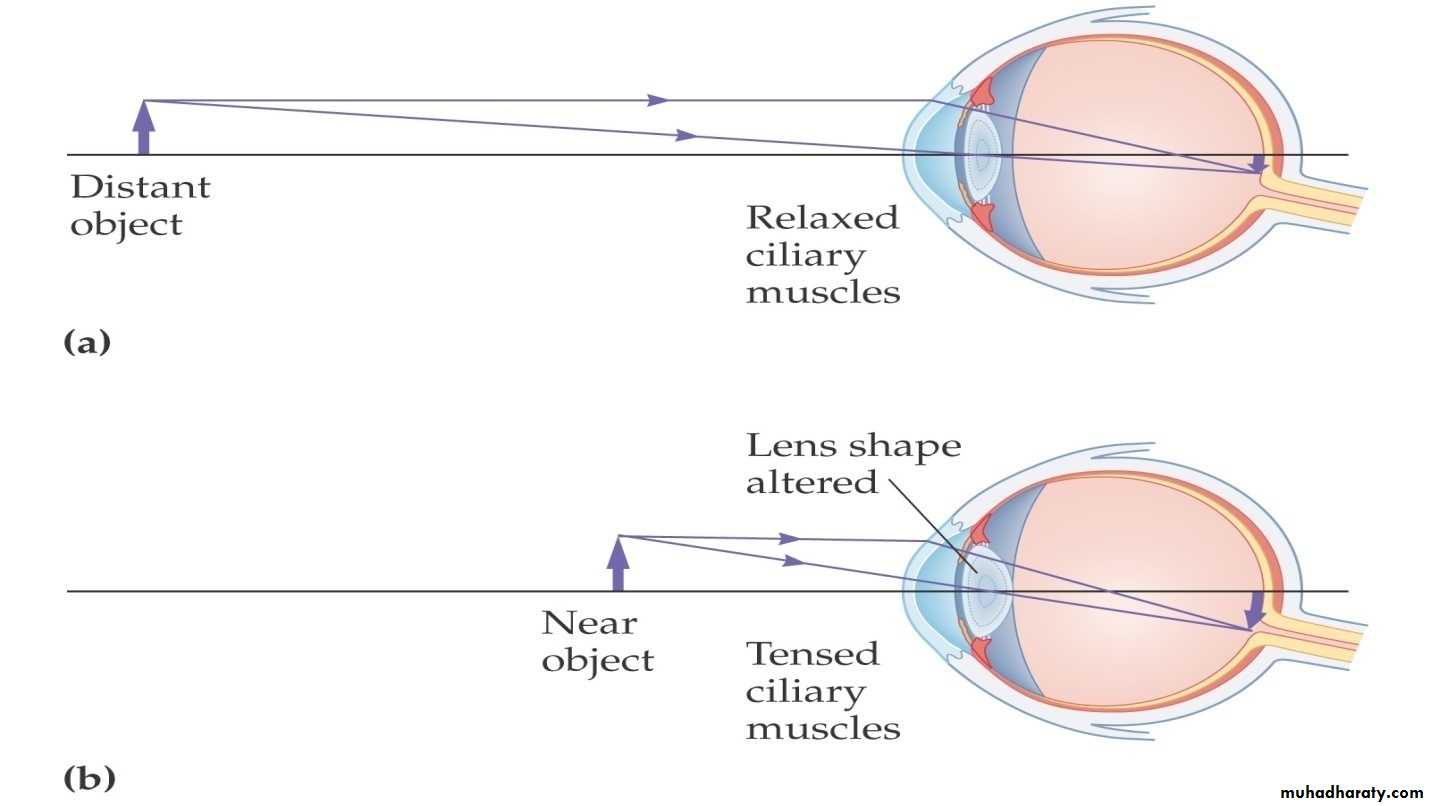 light in medicine and eye vision