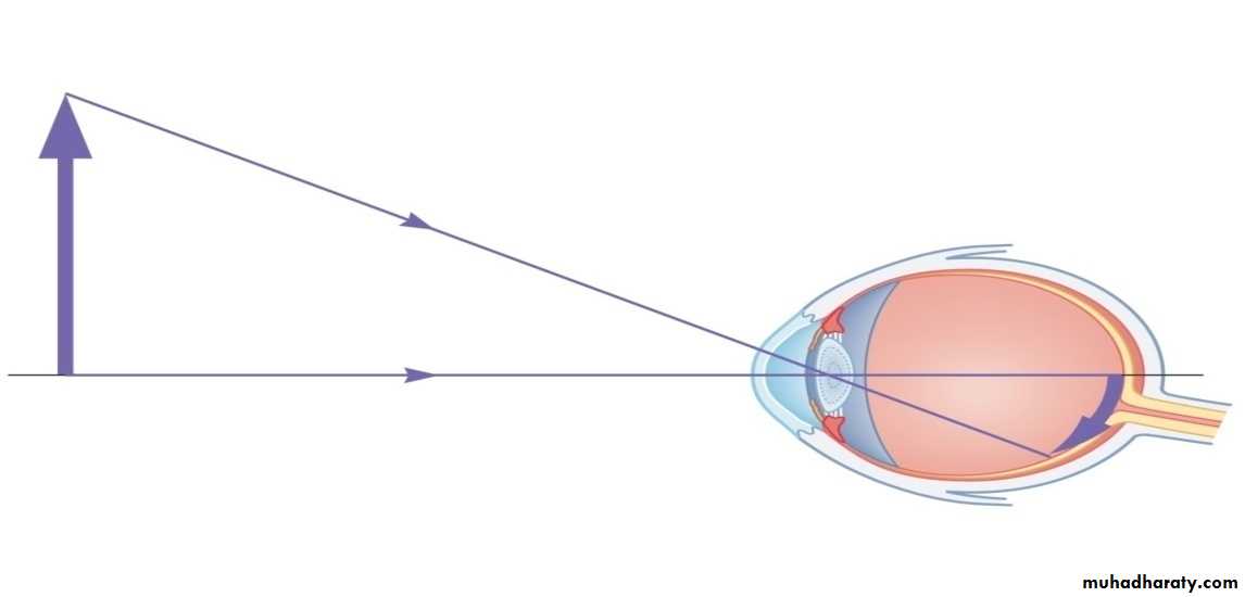 light in medicine and eye vision