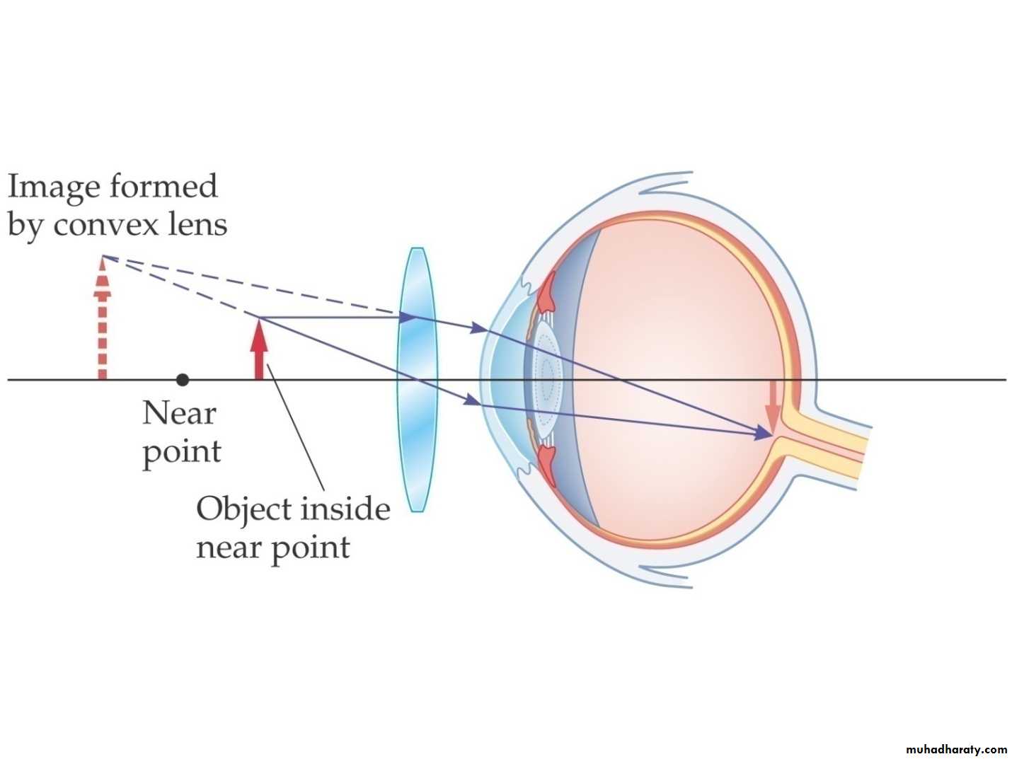 light in medicine and eye vision