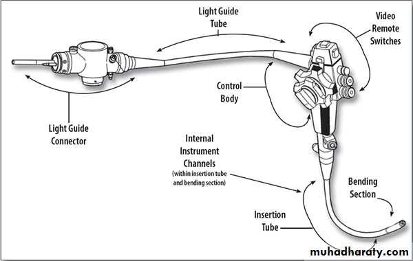 light in medicine and eye vision