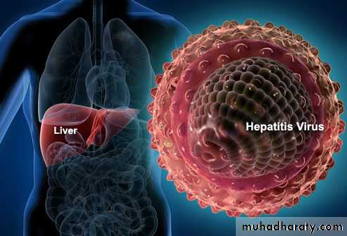 Viral Hepatitis
