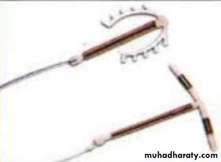 Slides of gynecology