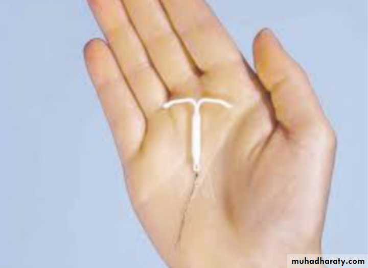 Slides of gynecology