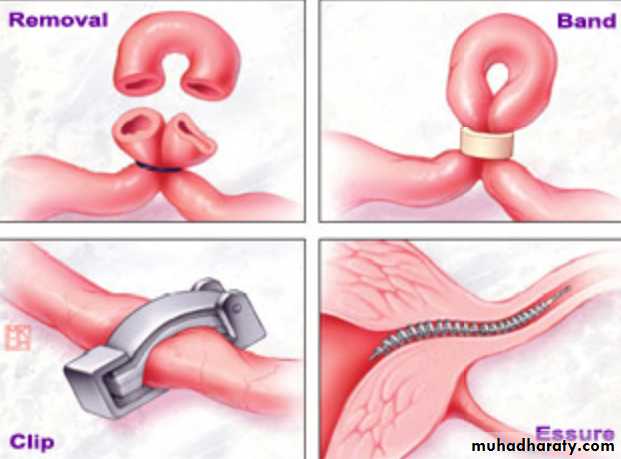 Slides of gynecology