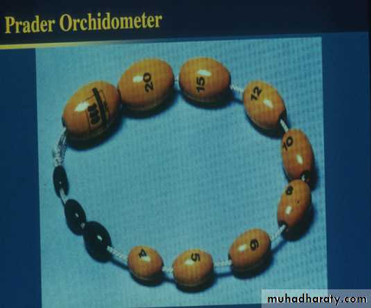 Slides of gynecology