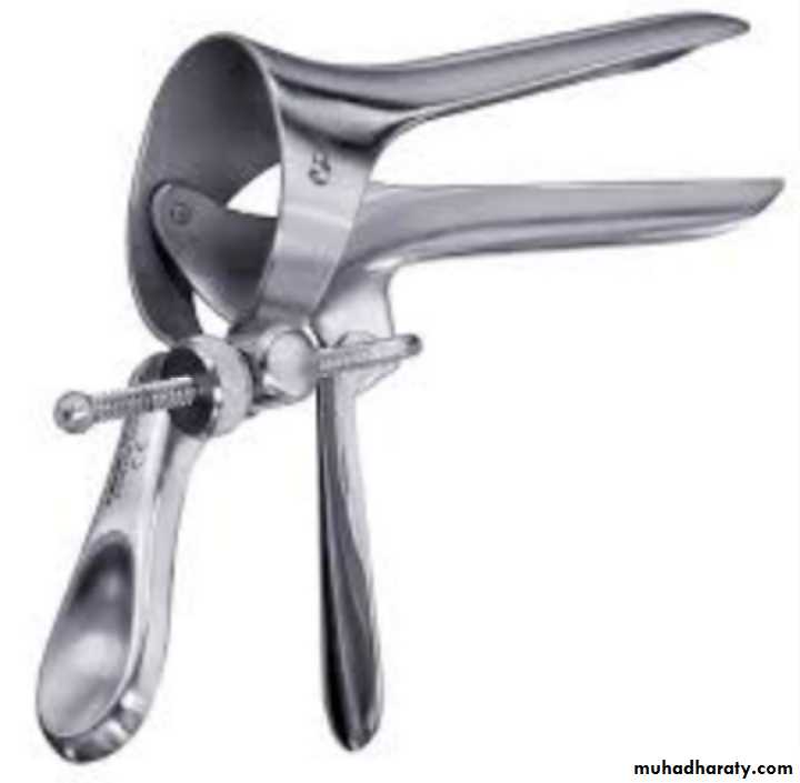 Slides of gynecology