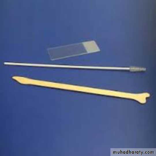 Slides of gynecology