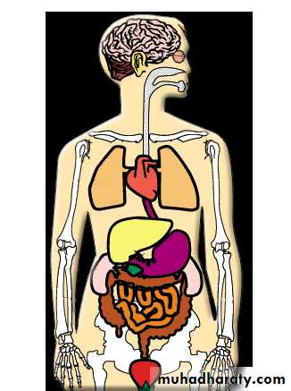 Substance related disorder 2