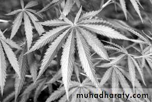 Substance related disorder 2