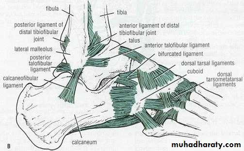 tibial and fibular injury