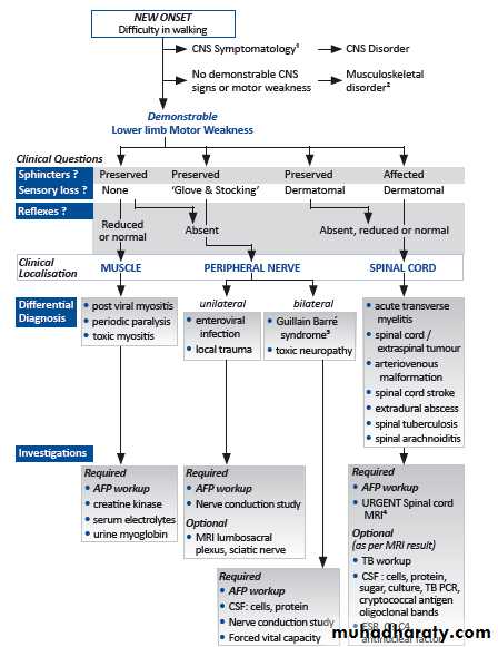 Acute flaccid paralysis