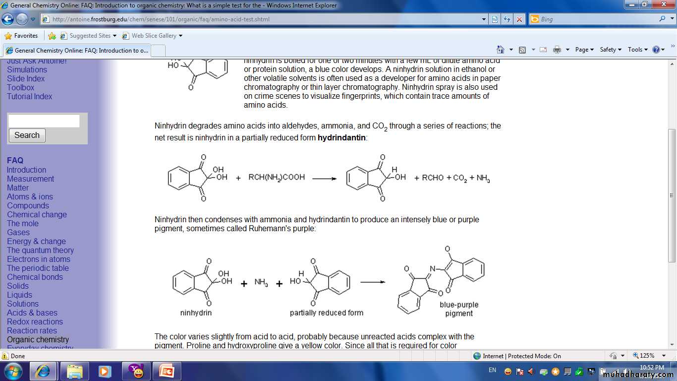 protein