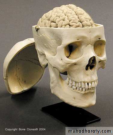 Neurosurgery