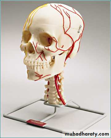 Neurosurgery