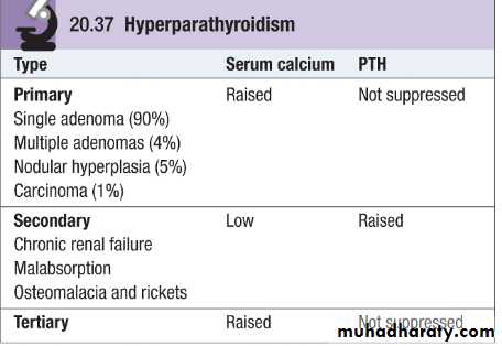 parathyroid