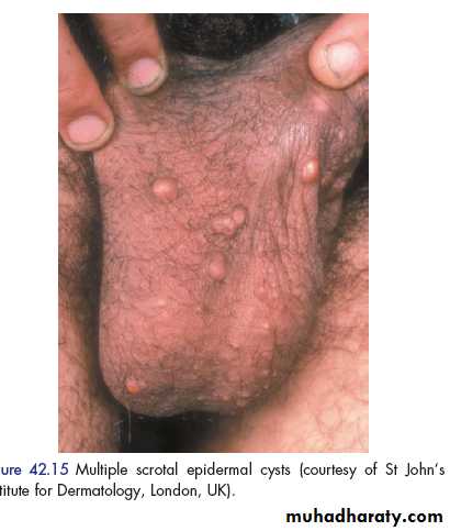 clinical surgery
