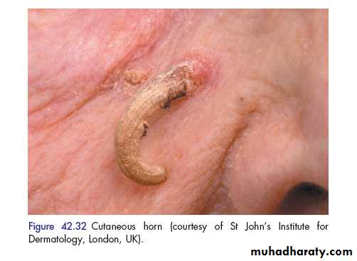 clinical surgery