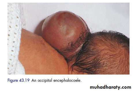 clinical surgery