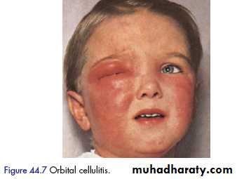 clinical surgery