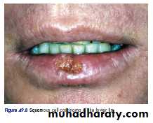 clinical surgery