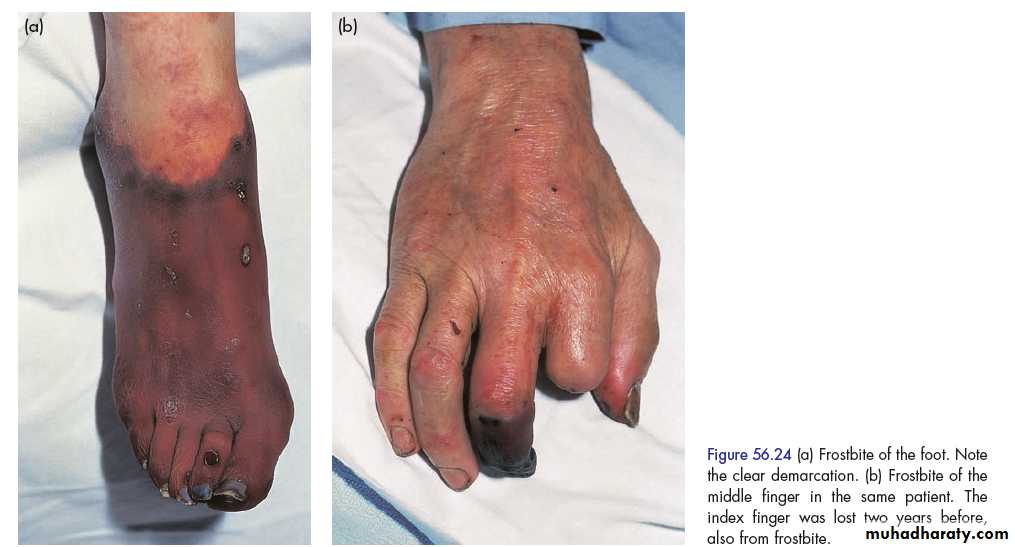 clinical surgery