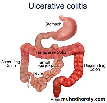 large bowel