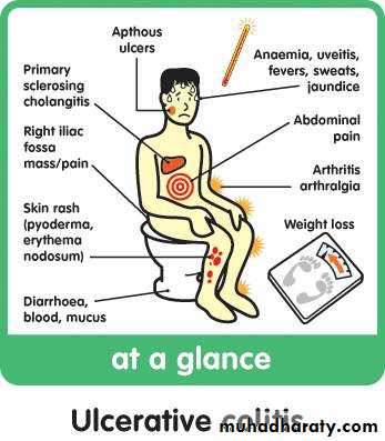large bowel