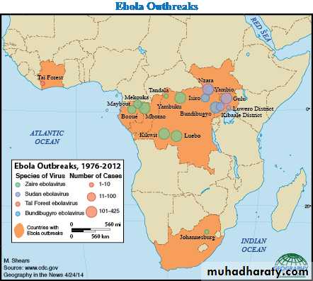 INVESTIGATION OF AN OUTBREAK