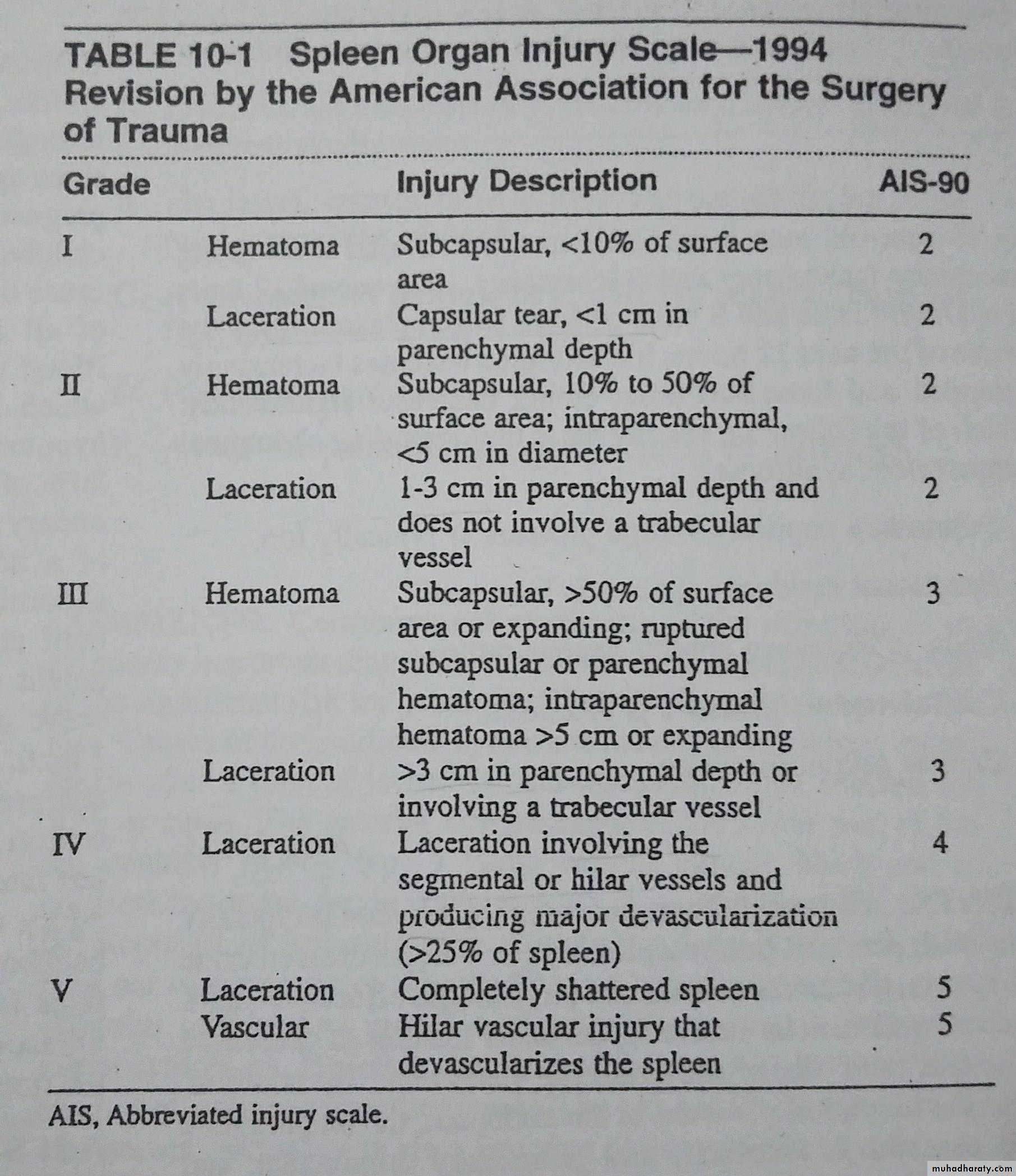 The spleen