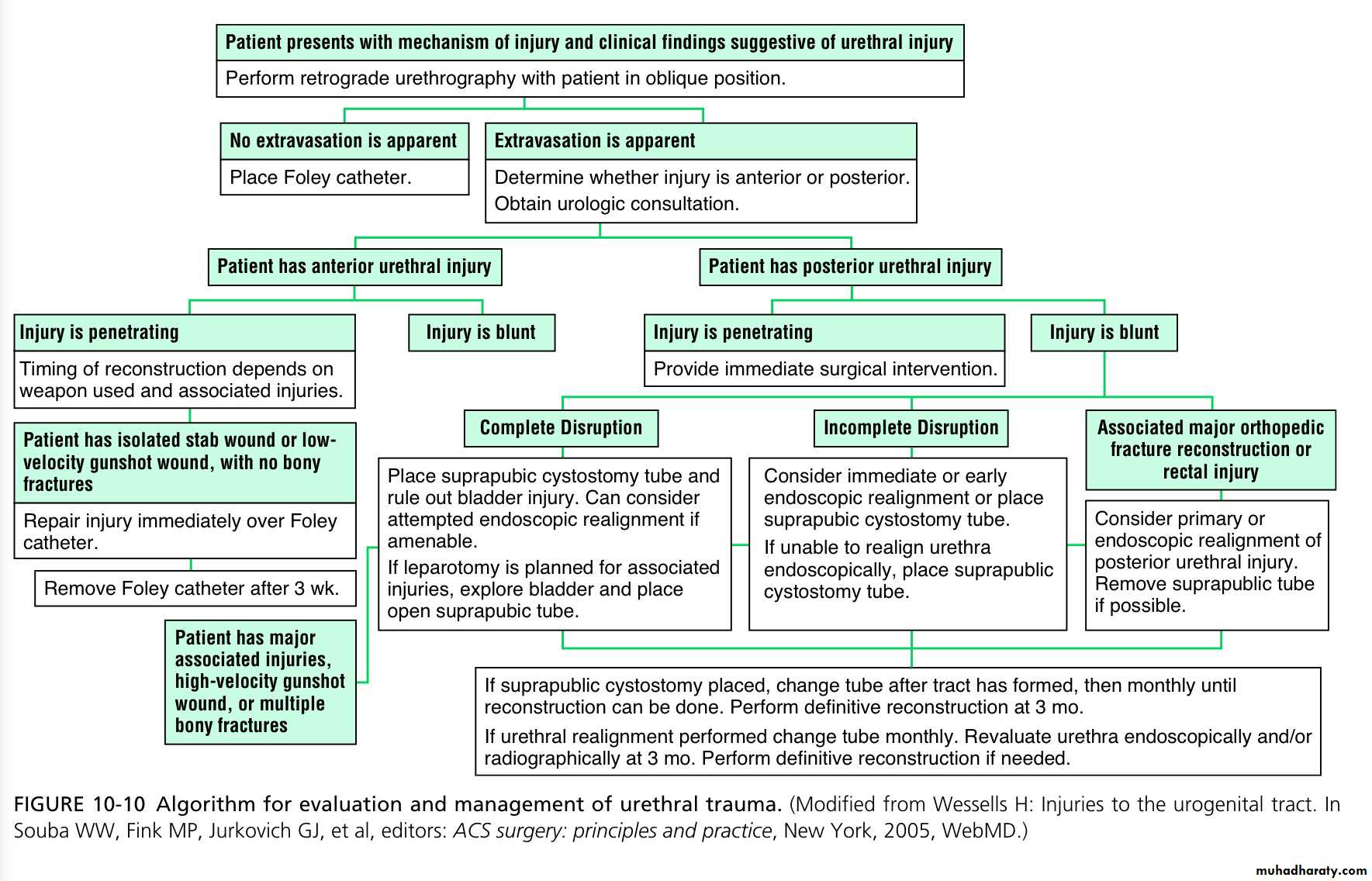 Renal trauma