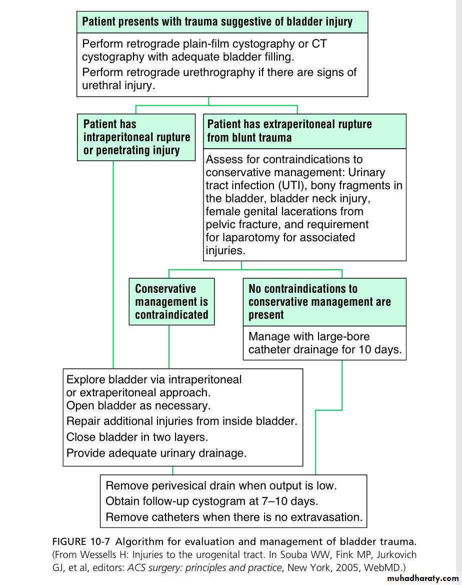 Renal trauma