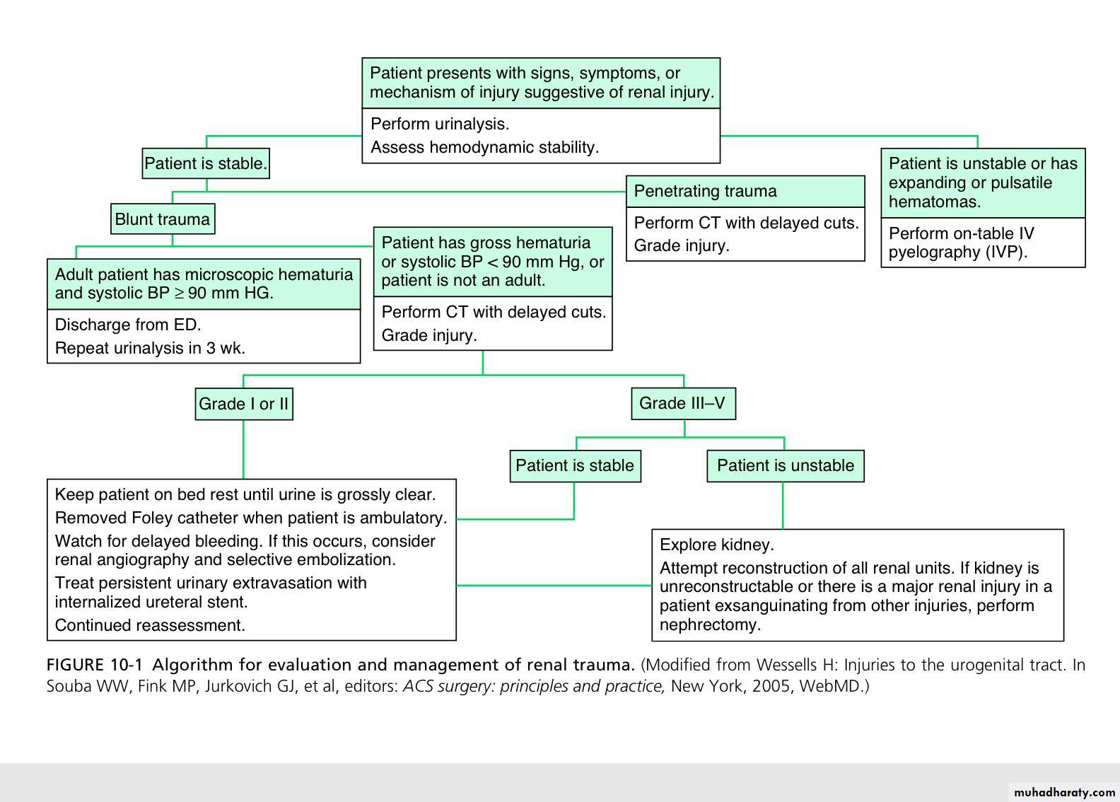 Renal trauma