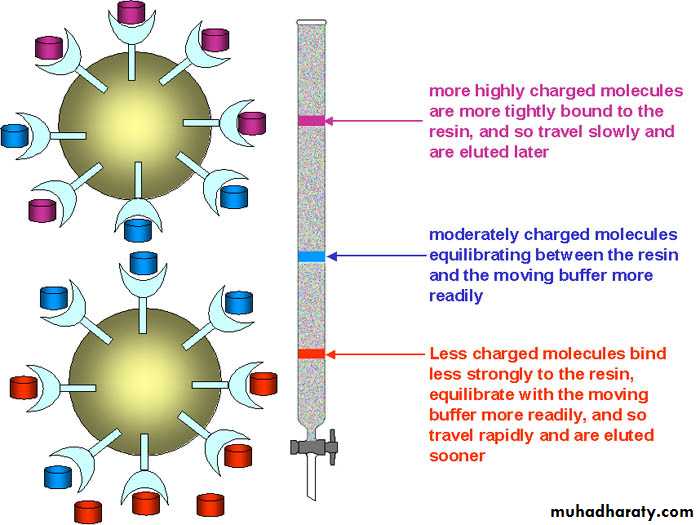 CHROMATOGRAPHY