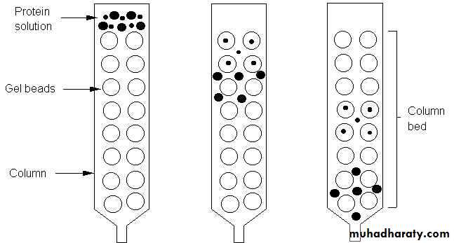 CHROMATOGRAPHY