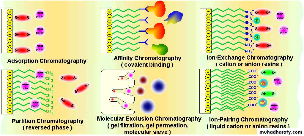 CHROMATOGRAPHY