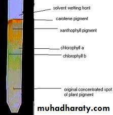 CHROMATOGRAPHY