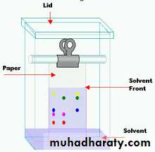 CHROMATOGRAPHY