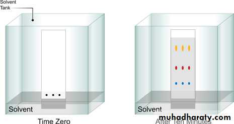 CHROMATOGRAPHY