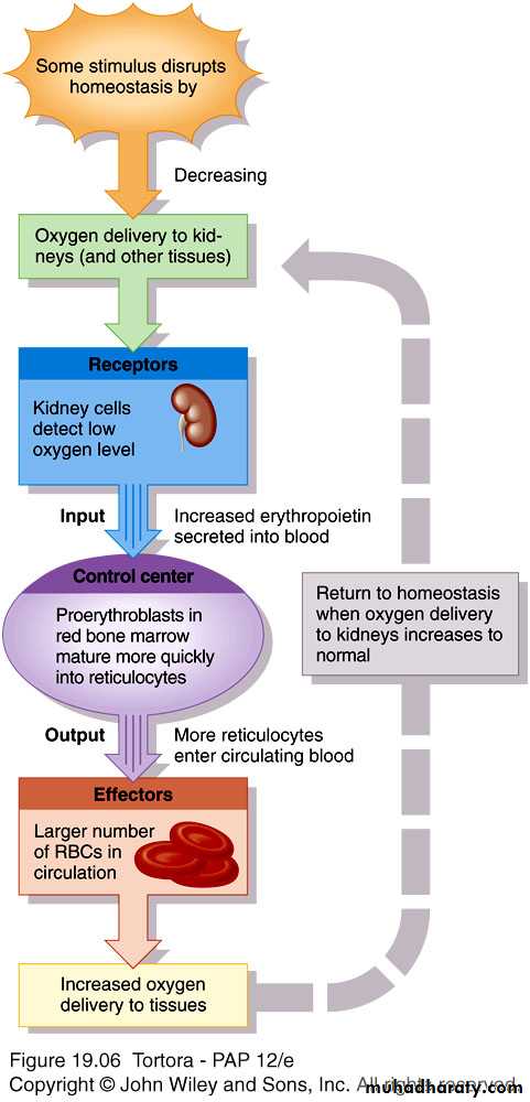 Blood sys