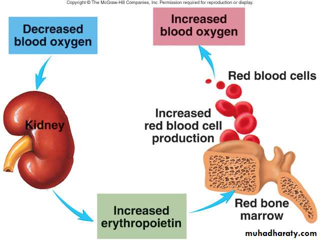 Blood sys