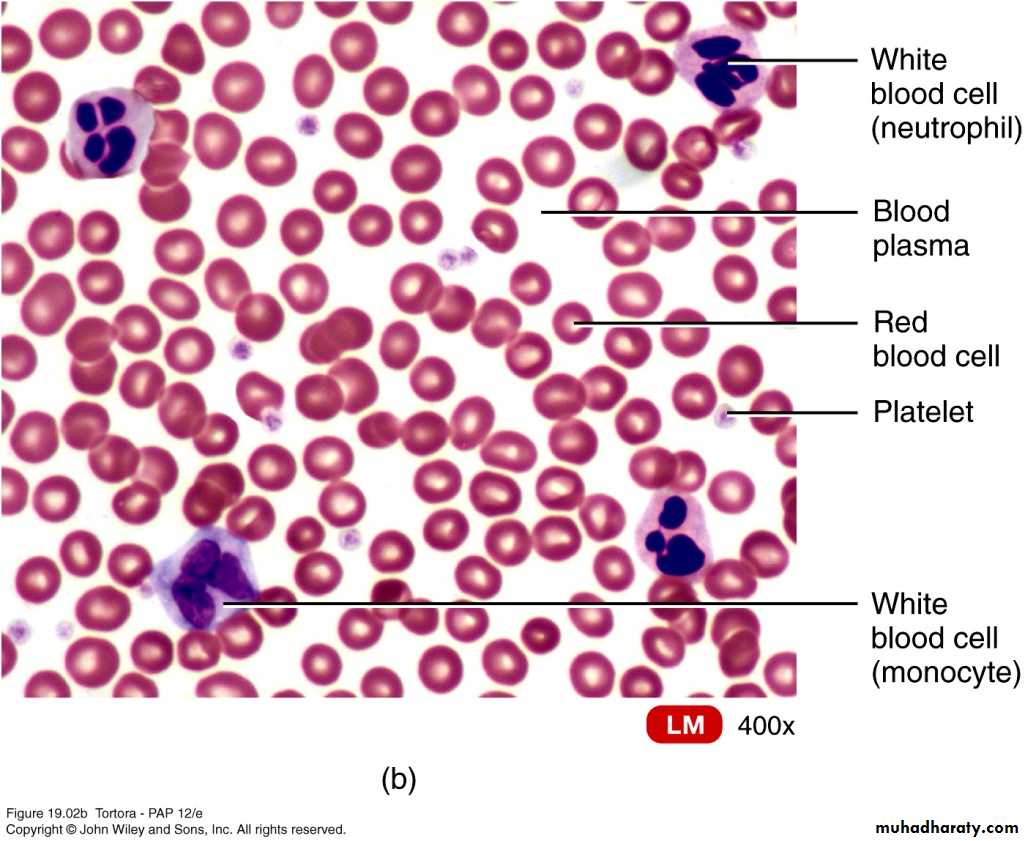 Blood sys