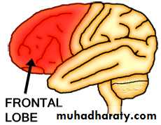 Introduction to Neurology
