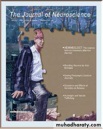 Introduction to Neurology