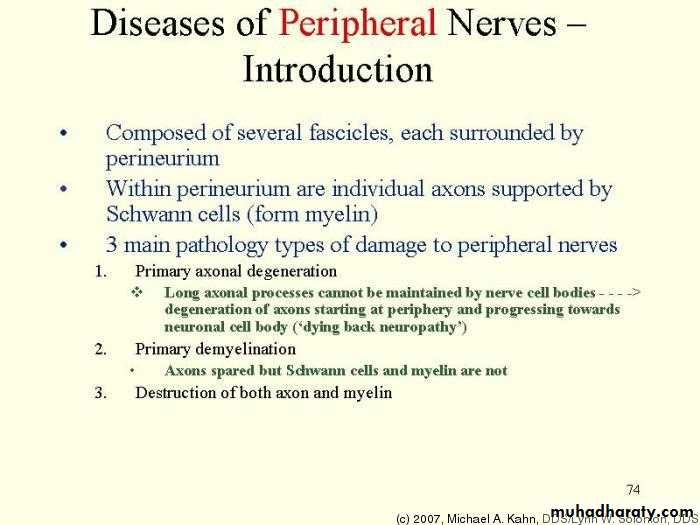 Peripheral nerve disease PNP