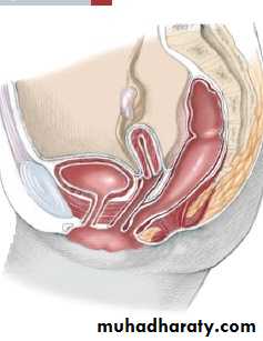 Pediatric surgery
