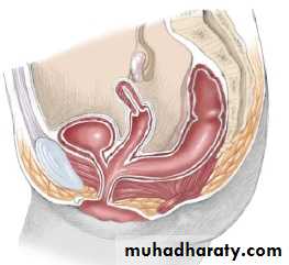 Pediatric surgery