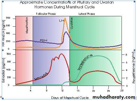 Physiology of the Menstrual Cycle