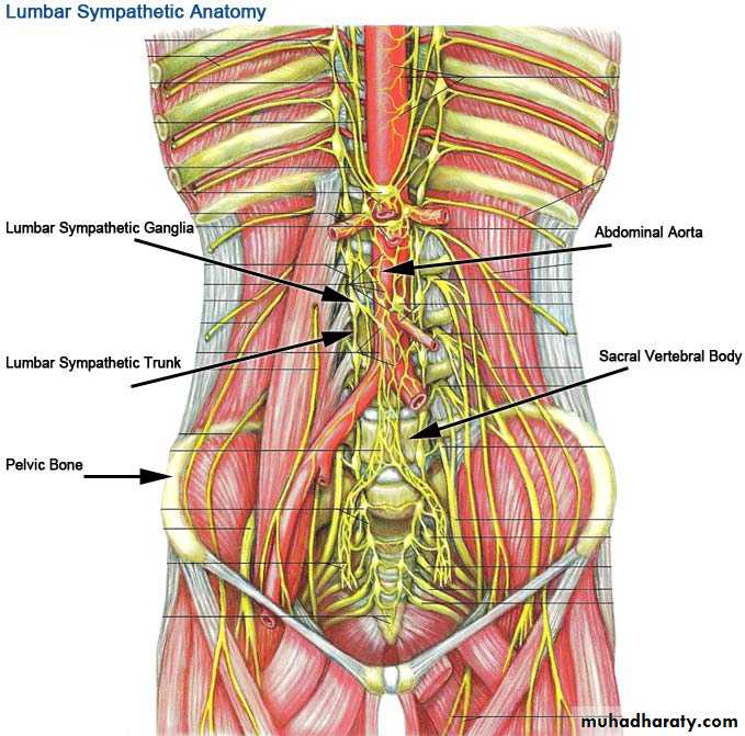 arterial disaeses
