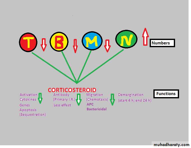 Immunosuppressive Therapy