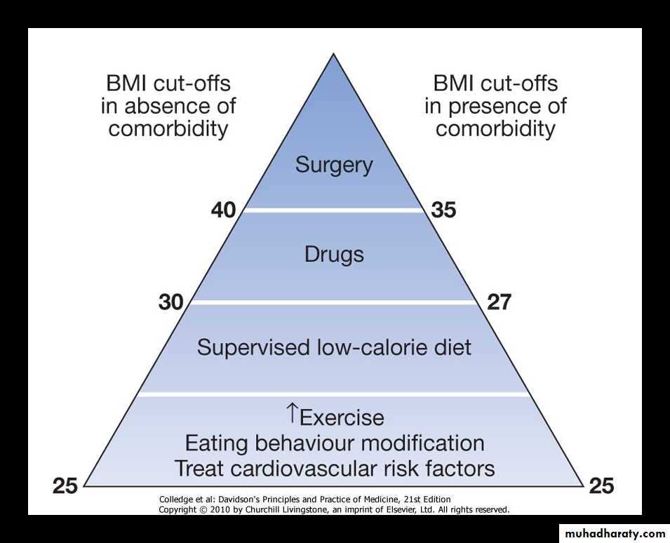 nutrition
